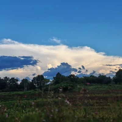 Simple32243590's profile picture. boring