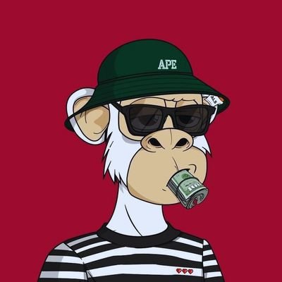 BenSurd44803's profile picture. Web3 creator, Community Mod, Designer, and Alpha writer | Helping DAOs, NFT, and DeFi grow with content, design & strategy | Building @razedotbot @bitcoinbrige