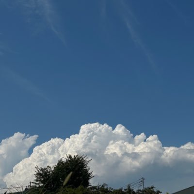 木偶の坊