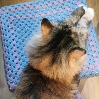 arh_bessrochka's profile picture. Свободу политзаключенным!