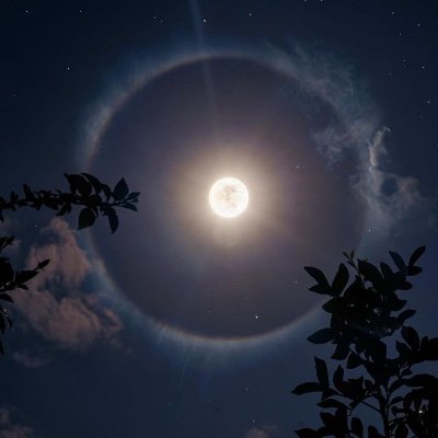 moboxyz's profile picture. 