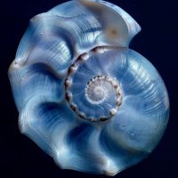 dio ✦ (@abichalas) 's Twitter Profile Photo