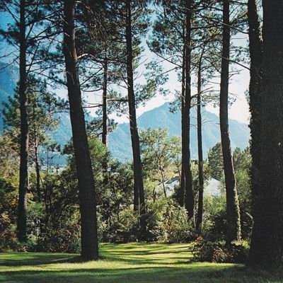 oceanblue0325's profile picture. 