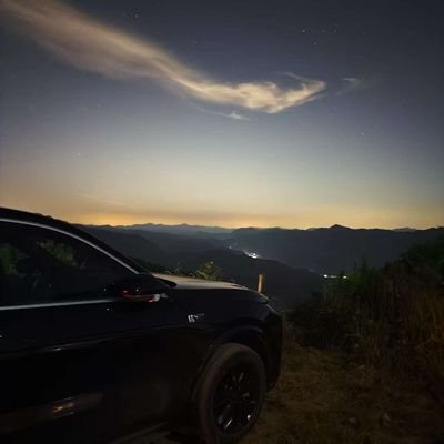 yips753's profile picture. 