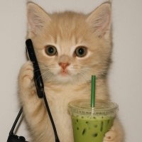 γΉ | jastip & handcarry koreaπ (@markjichen) 's Twitter Profile