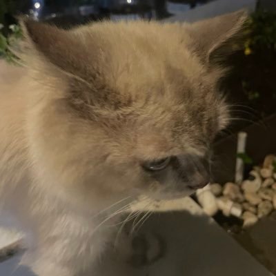 stanilysm's profile picture. 