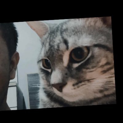 PesToey80620's profile picture. 