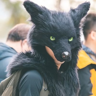 IamDarkWolf's profile picture. 狼系 | 165/67 | 動態攝影師 | 可約攝影 | Switch | 犬調、DID | 雙北 | 旅行、逛街、喝酒