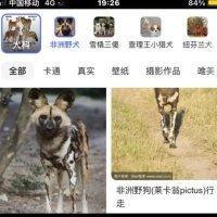 我不道啊XD (@butianhh2b) 's Twitter Profile