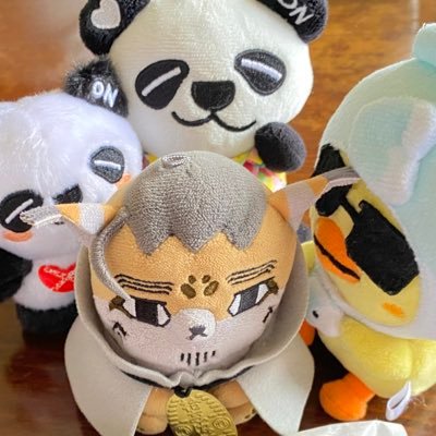 あいさんのプロフィール画像