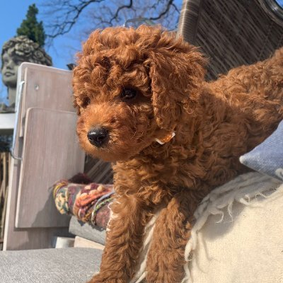 DeedsyBaby's profile picture. 