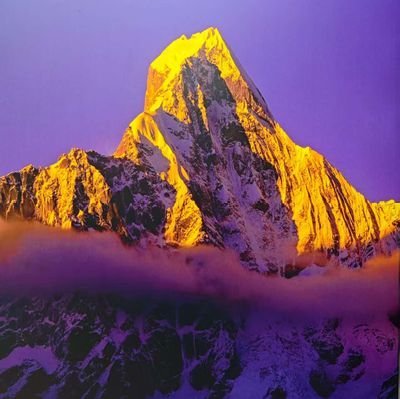 li_shou6925's profile picture. が気に入る