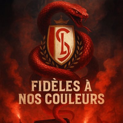 Communauté 𝗳𝗮𝗻𝗮𝘁𝗶𝗾𝘂𝗲 du @Standard_RSCL 🇧🇪 𝗔𝗺𝗯𝗮𝘀𝘀𝗮𝗱𝗲𝘂𝗿 - Mes tweets n’engagent que moi ⚡️ #TeamRSCL #RoucheUnJourRoucheToujours ❤️