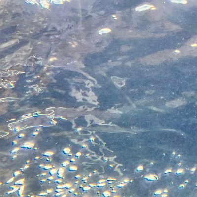 NYANTEAN's profile picture. 