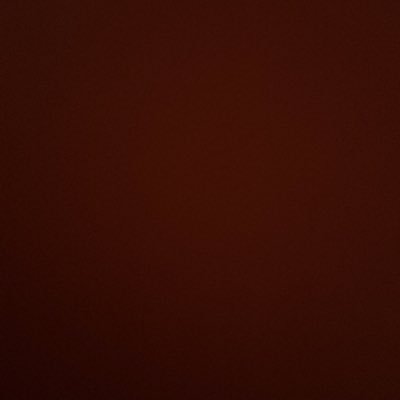 mia244341's profile picture. 