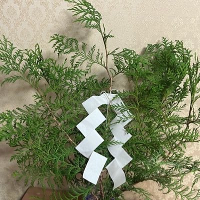 Syunsui_thermie's profile picture. 都内で温熱療法と薬草や石と共に、体からこころに触れて心身を整え浄化するボディワークと手当をしている療術師、行者|金峯山寺修験本宗教師|修験僧侶|身体と自然界|和精油|薬石|植物療法|イトオテルミー|山岳信仰|松葉|生果菜食|山伏|尼僧|🌱療術のご予約、お問合せはDMでも|榛名修験道@bluerosewater20