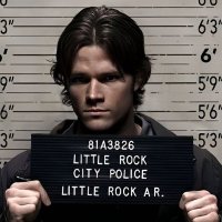 slõwfanlife (@fangirlhellfire) 's Twitter Profile