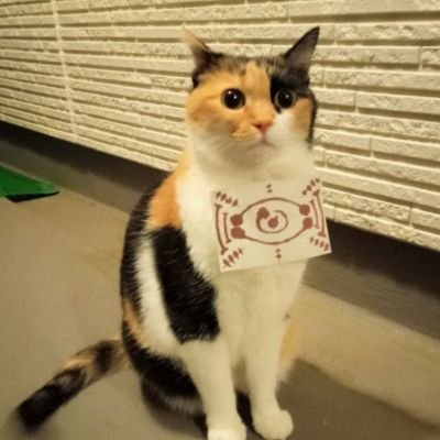 TKoBts2Q1ewd54U's profile picture. 