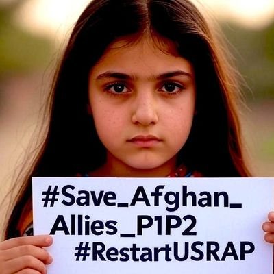 EmHakimi's profile picture. Non-profit |  Advocacy