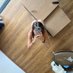 LISA π (@spicylisaxo) Twitter profile photo LISA π (@spicylisaxo) Twitter profile photo