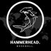 HAMMERHEAD BASEBALL (@hammerheadstats) Twitter profile photo HAMMERHEAD BASEBALL (@hammerheadstats) Twitter profile photo