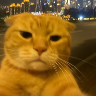 QSQ8je0LLD40811's profile picture. 