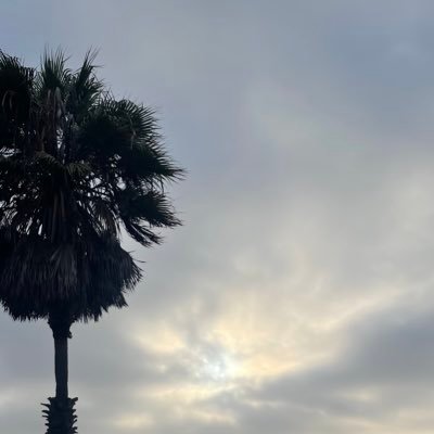 rtk91330's profile picture. 2000.3.30