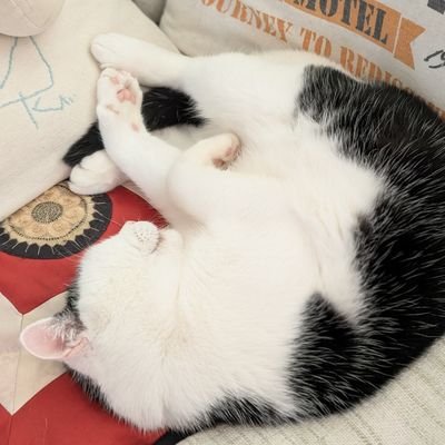 モラハラで睡眠障害と適応障害と鬱に。
2023なんとか復職してやっと2年!
性自認はFtX。英語初心者。どこぞの調理師でこんなんだけど運だけは良い。とても。
有益なことはつぶやきませんが、今は幸せにのんびり生きております。
優秀でもなく、めっちゃダメ人間というわけでもなく。ただの人です。