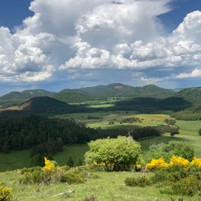 HatenaLask75's profile picture. Clermont foot 63 - Yellow Army - Fc Nantes - Ja Vichy