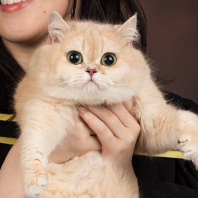 minacupcakes's profile picture. ༺୨♡︎୧༺