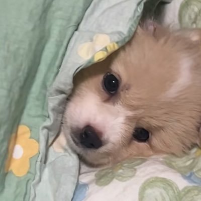 82さんのプロフィール画像