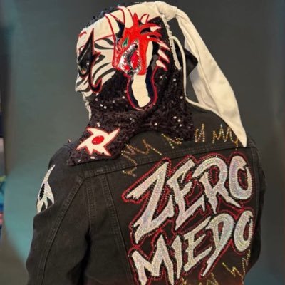 lucha brothers fan • punk and aj are my parents • 🏳️⚧️🇵🇸