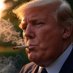 Trumpweed (@thetrumpweed) Twitter profile photo Trumpweed (@thetrumpweed) Twitter profile photo