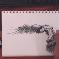 Starsglides β π,π (@dexdaos) 's Twitter Profile