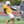 Denzel More (@more_denzel) profile picture