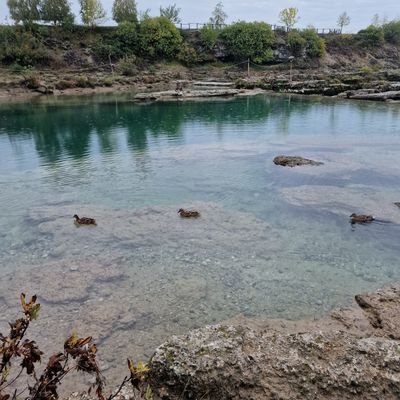heyvasor350's profile picture. Ordamısın ey özgürlük?
Bak sana geldim düşe kalka
Bağrım savaşın şiddetiyle param parça
Ulusumun korkusuzluğuyla sana geldim