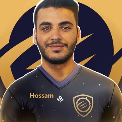 Hossam Abdelnaby Profile