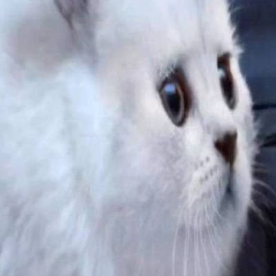 свинья упалаさんのプロフィール画像