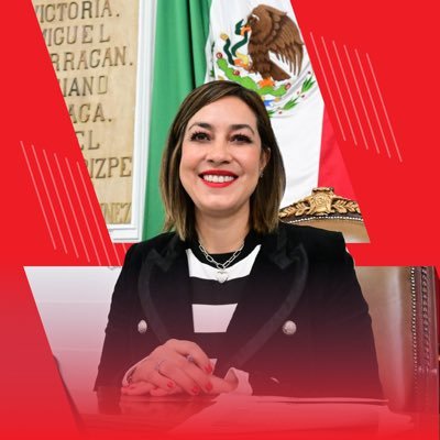 Petista de corazón ❤️ • Diputada en el Congreso de la Ciudad de México, III Legislatura 🏛️