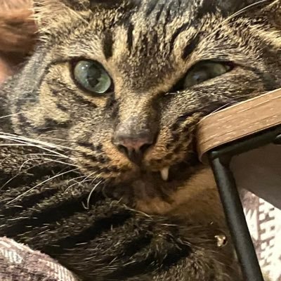 twa_en's profile picture. OMDC2年/講評 ゆかりとか胡桃とか諸々やってました