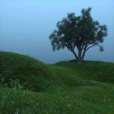 قيس بن الملوح 🇲🇦🇲🇦🇲🇦 🍂