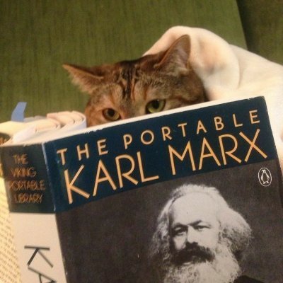 Jayrywashere8's profile picture. 20 | he/him | ☭ RCA/RCI | #communisttwt | dc: jayry