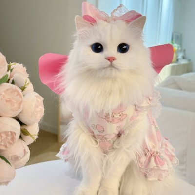 🌹 Grace & Power | Professional Growth | 🚫 No DMs 🚫 No Porn 🚫 No Cryptocurrency