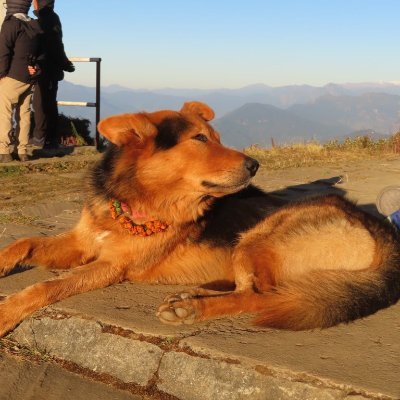 Sahajakaya's profile picture. Beauty, Love, Goodness