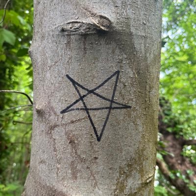 nofunbtn's profile picture. 🙄