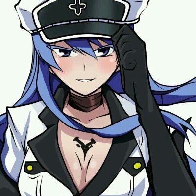 Your new favorite discord economy bot inspired by esdeath from akame ga kill.
Get Support Here:
https://t.co/kuEUd3qZIQ
