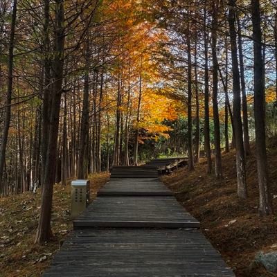 wza08426's profile picture. 我对你没有偏袒的意思，而是正儿八经的偏心。