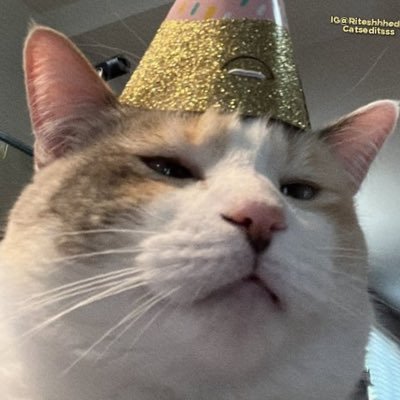 Coast_11's profile picture. Oneirocritic❤️🌚