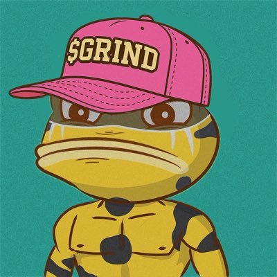 PFP: @ThePlagueNFT | Hat: @GrindTheCoin | Banner: @GrindTheCoin @AKidCalledBeast @_HenHouseNFT @GeezOnApe
