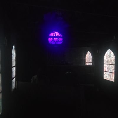 T66753175's profile picture. yo